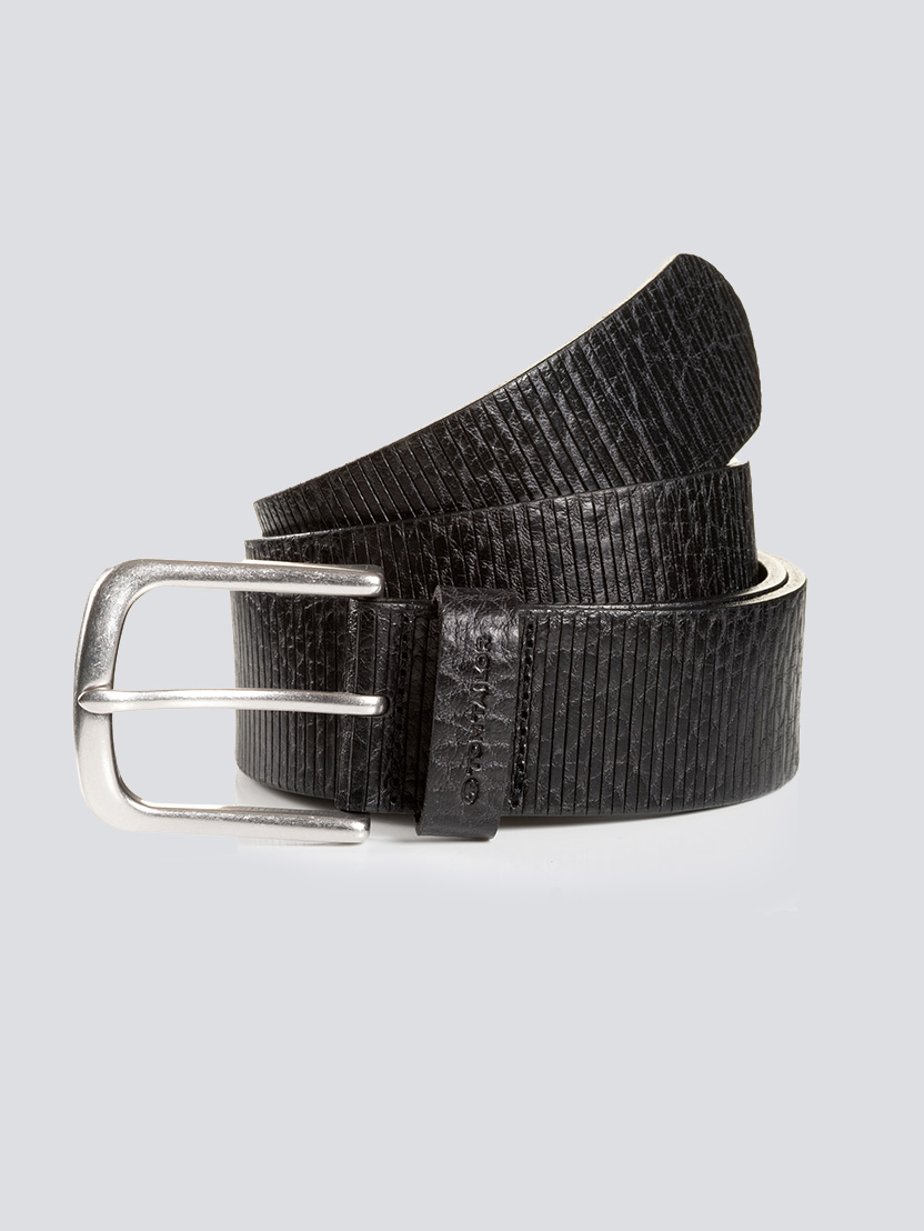 Roy pas - Črna_5120475