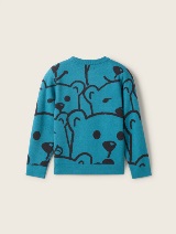 Pulover cu imprimeu integral - Model/Mai multe culori_6054761