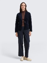 Baršunasti sako - Plava_4325781